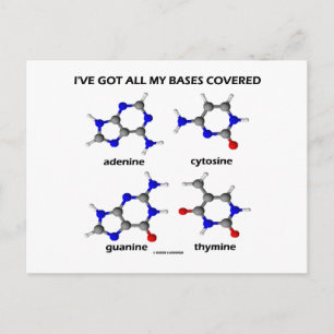 Carte Postale J'ai mes bases couvertes (bases d'ADN de chimie)