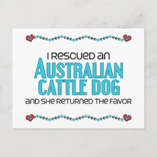 Carte Postale J'ai Secouru un chien de bétail australien (chien 