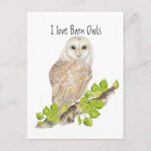 Carte Postale J'aime Barn Owls - Bird