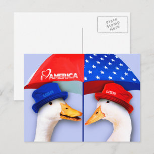 Carte Postale J'Aime L'Amérique. Drôle canards patriotiques