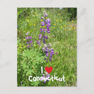 Carte Postale J'aime le Connecticut