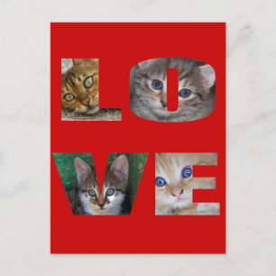 Carte Postale J'aime les chats