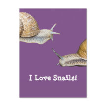 J'aime les escargots Conception des escargots