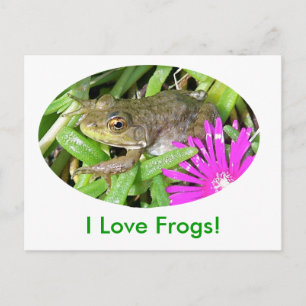 Carte Postale J'Aime Les Grenouilles ! Cartes, Chemises et cadea