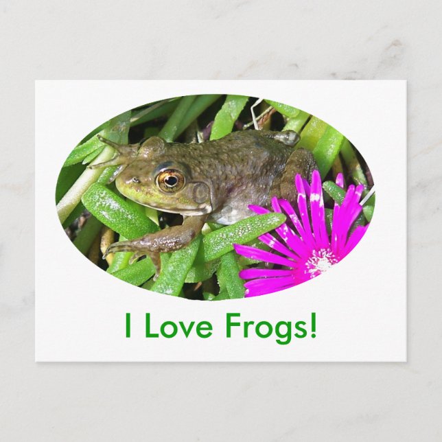 Carte Postale J'Aime Les Grenouilles ! Cartes, Chemises et cadea (Devant)