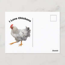 J'Aime Les Poulets. Poulets, humour, drôle
