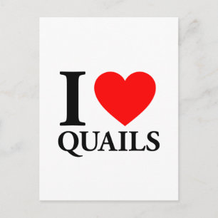 Carte Postale J'aime les quails