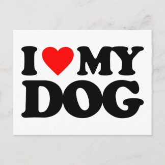 CARTE POSTALE J'AIME MON CHIEN