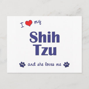 Carte Postale J'Aime Mon Chih Tzu (Chiens Femmes)