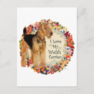 Carte Postale J'aime mon terrier gallois