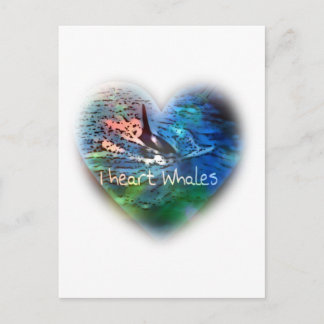 Carte Postale J'aime Orca Whales dans les cadeaux de coeur