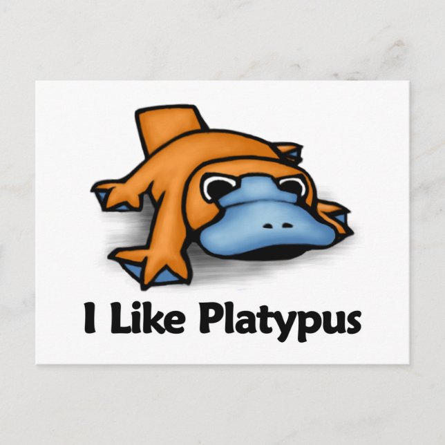 Carte Postale J'Aime Platypus (Devant)