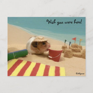 Carte Postale J'aimerais que vous soyez ici !