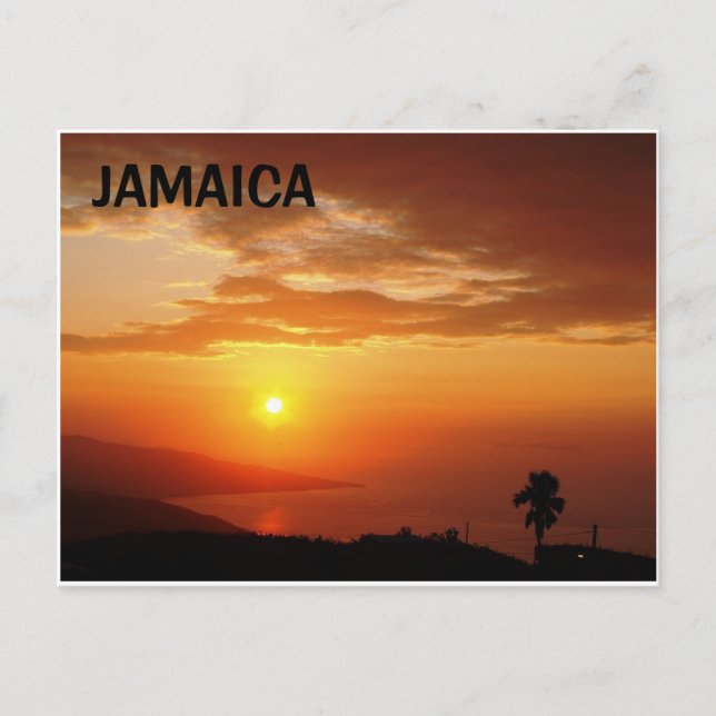 CARTE POSTALE JAMAICA (Devant)