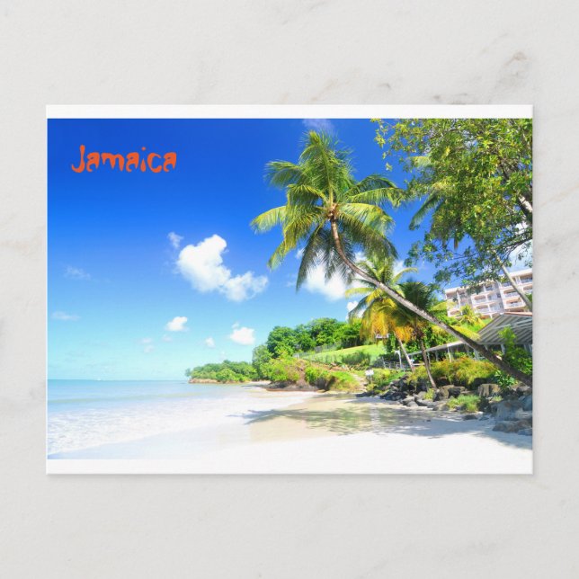 Carte Postale Jamaïque (Devant)