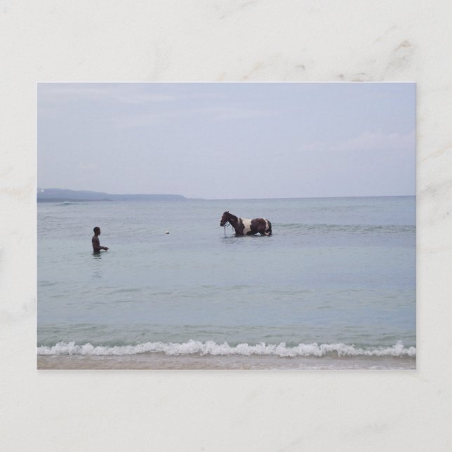 Carte postale Jamaïque (Devant)