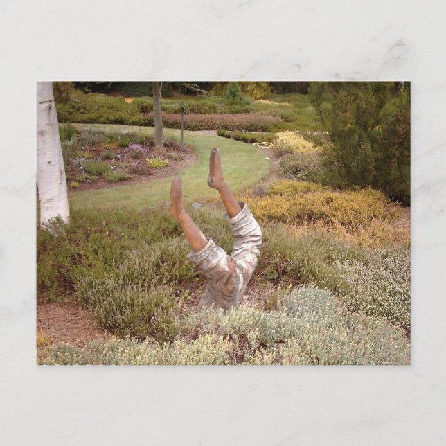 Carte Postale Jambes mystiques akimbo (Devant)