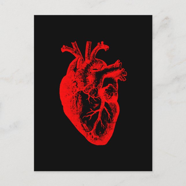 Carte Postale J'anatomie de coeur de coeur aiment/I (Devant)