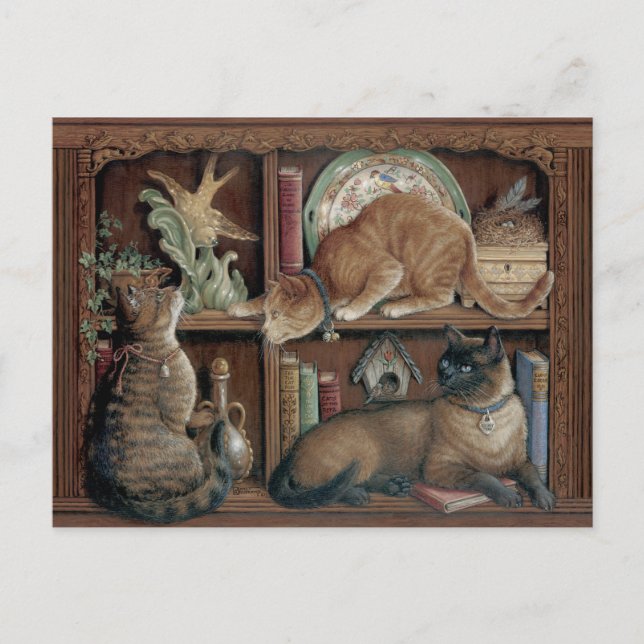 Carte Postale Janet Kruskamp Chats sur la bibliothèque (Devant)