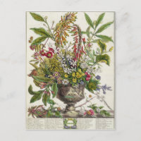 Janvier, de ` douze mois de fleurs