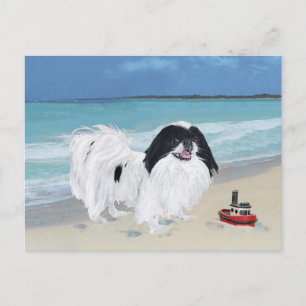 Carte Postale Japanese Chin à la plage