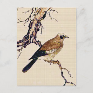 Carte Postale Japanese Woodcut of a Finch, Brown and Beige