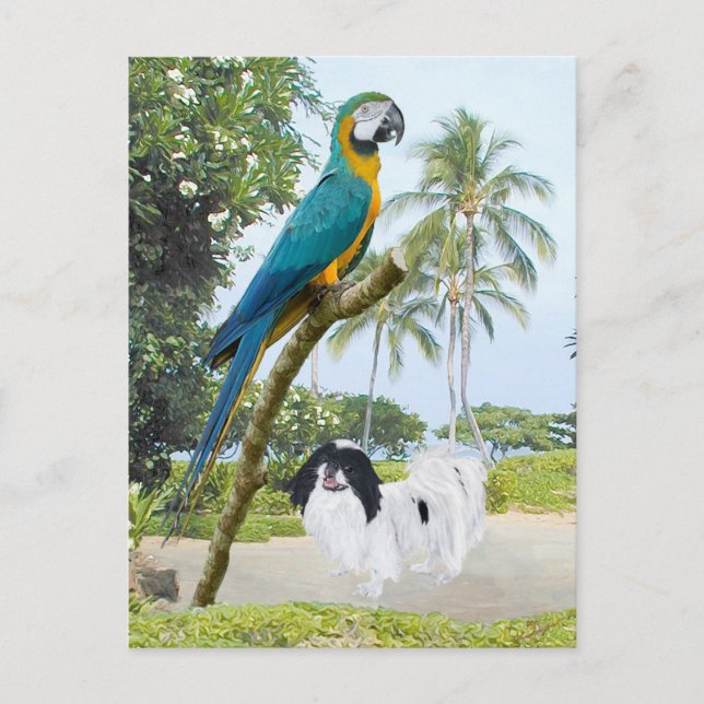 Carte Postale Japonais Chin et Macaw (Devant)