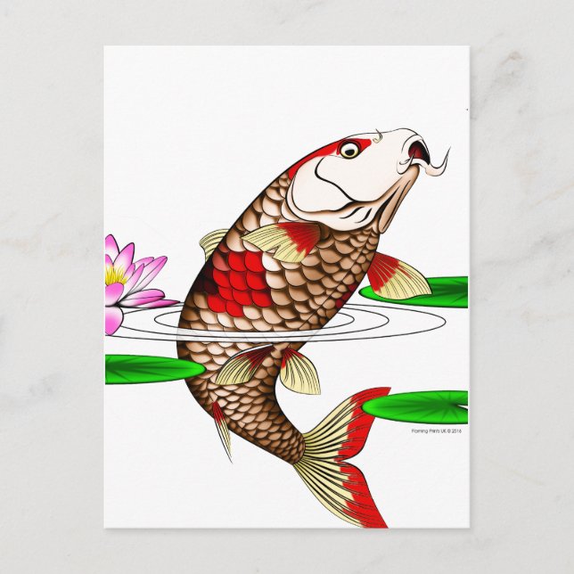 Carte Postale Japonais Koi Poisson Carpe d'eau Lily (Devant)