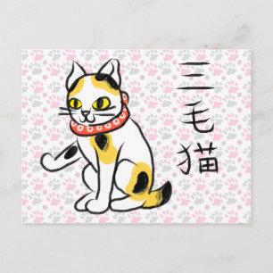 Carte postale japonaise Calico