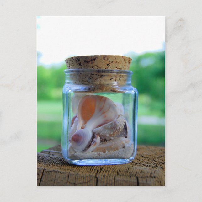 Carte postale Jar of Sea Shells (Devant)