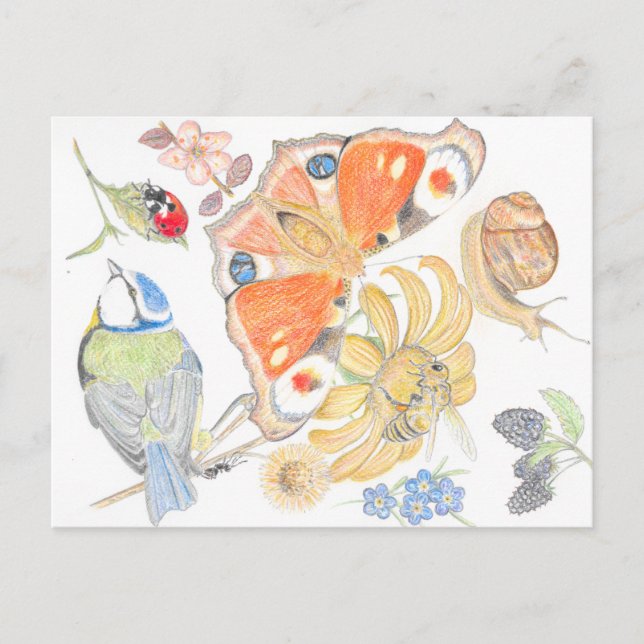 Carte Postale jardin anglais (Devant)