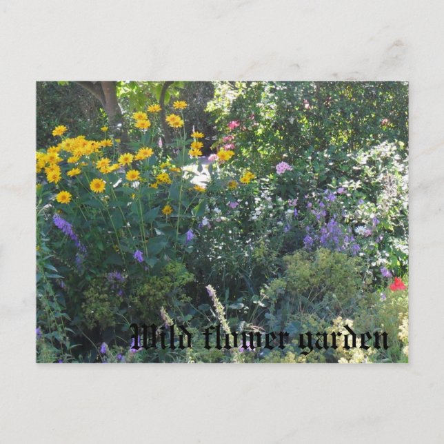 Carte Postale Jardin aux fleurs sauvages (Devant)