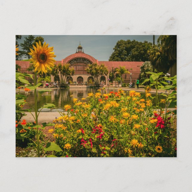 Carte Postale Jardin botanique Balboa Park (Devant)
