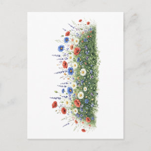 Carte Postale Jardin botanique de fleurs de prairie fleurie