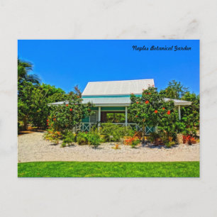 Carte Postale Jardin botanique de Naples Florida - Jardin des Ca