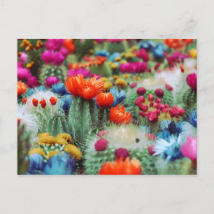 Carte Postale Jardin de cactus à fleurs colorées