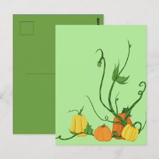 Carte Postale Jardin de citrouilles