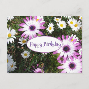 Carte Postale Jardin de Fleur de marguerite violet blanc Joyeux 