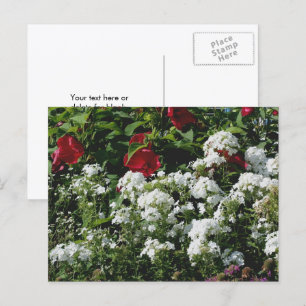 Carte Postale Jardin de fleurs d'Hibiscus et Phlox personnalisé