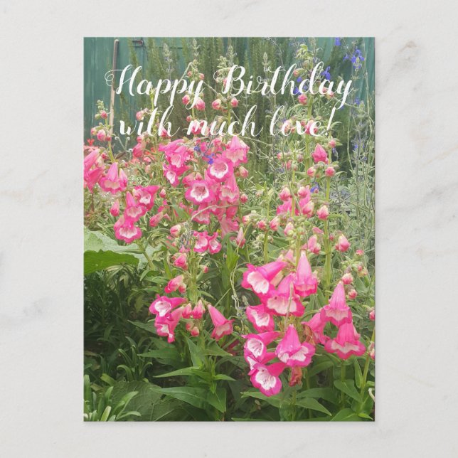 Carte Postale Jardin de fleurs Penstemon Jardin fleuri Joyeux an (Devant)