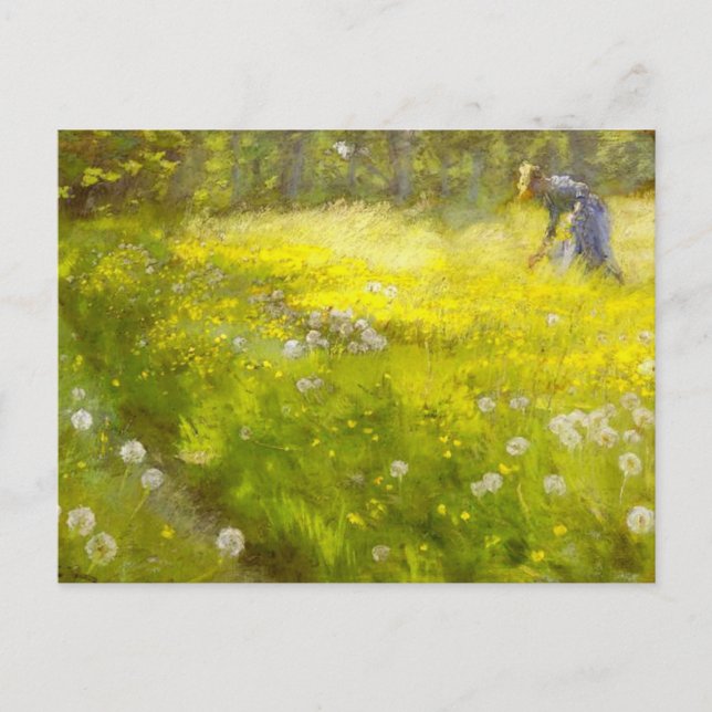 Carte Postale Jardin de Kroyer à Skagen (Devant)