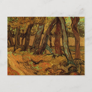 Carte Postale Jardin de l'hôpital Saint-Paul, figure de Vincent 