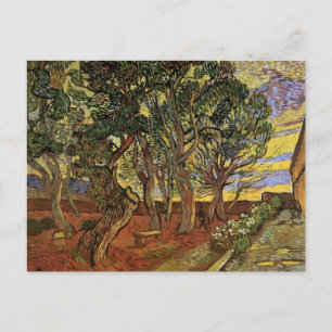 Carte Postale Jardin de l'hôpital Saint-Paul par Vincent van Gog