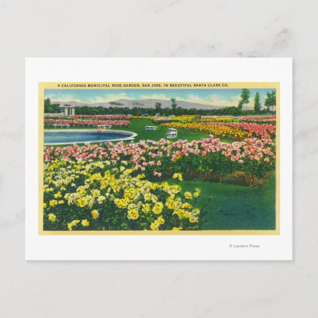 Carte Postale Jardin des Roses municipaux dans le comté de Père  (Devant)