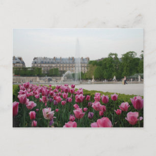 Carte Postale Jardin des Tuileries en fleurs