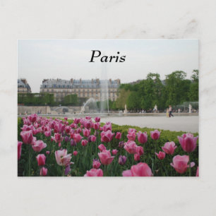Carte Postale Jardin des Tuileries en fleurs