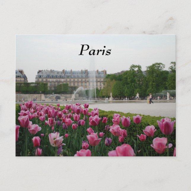 Carte Postale Jardin des Tuileries en fleurs (Devant)
