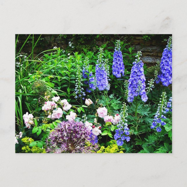 Carte Postale Jardin d'été (Devant)