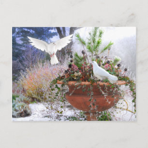 Carte Postale "Jardin d'hiver"