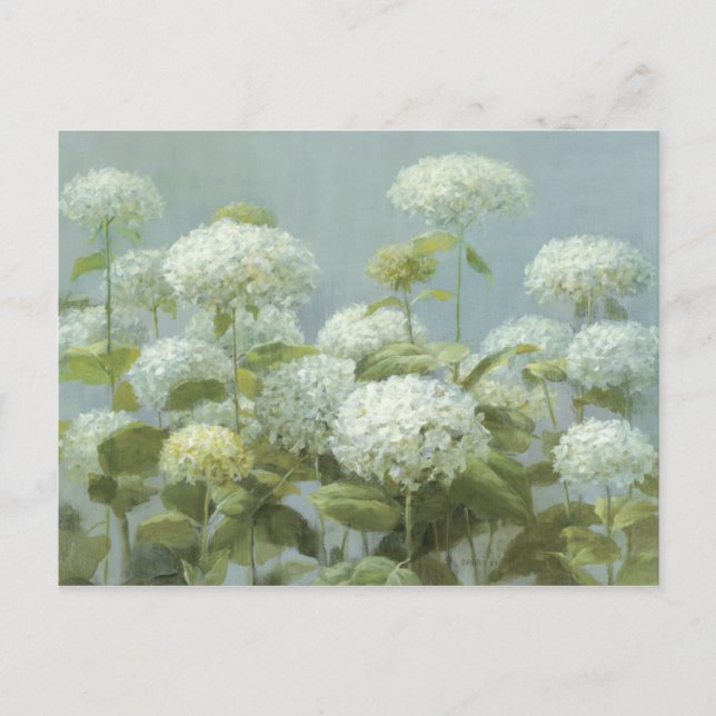 Carte Postale Jardin d'Hydrangea blanc (Devant)
